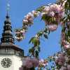 VĚŽ KOSTELA SV. MIKULÁŠE V BÍLOVCI — prohlídka s vyhlídkou