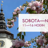 VĚŽ KOSTELA SV. MIKULÁŠE V BÍLOVCI — prohlídka s vyhlídkou