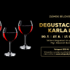 ZRUŠENO ZE ZDRAVOTNÍCH DŮVODŮ // DEGUSTACE VÍN KARLA IV.
