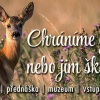 Chráníme zvířata nebo jim škodíme?
